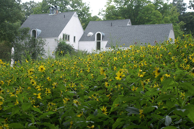 Westchester County, NY Open Day